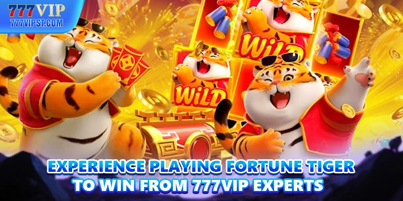 Experience playing Fortune Tiger to win from 777VIP experts