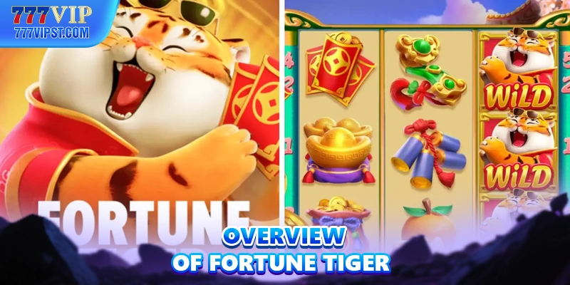 Overview of Fortune Tiger
